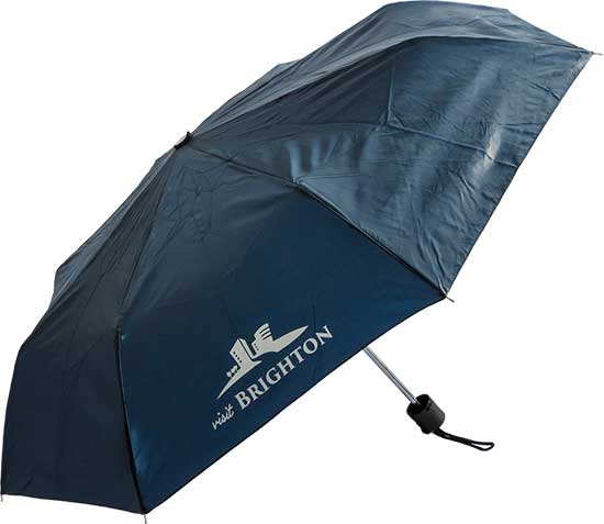 Telescopic Standard 0009  BudgetSuperMini