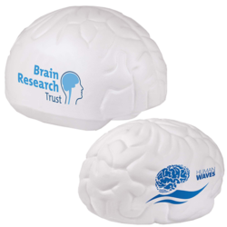 s0089 s0094 09 small large brain v1