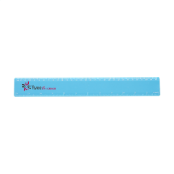 30cm plastic ruler 1