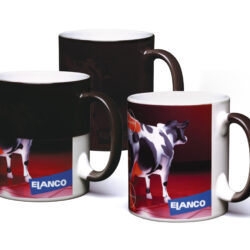 12160 Durham WoWMug