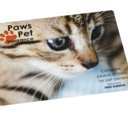 11080 PlaceMat