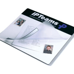 11004SEE See Thru Mat
