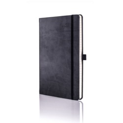 Ivory Medium Daily International Diary Tucson