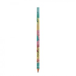 BIC Evolution Metallic Cut End Ecolutions Digital Pencil