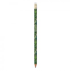 BIC Evolution Digital Ecolutions pencil