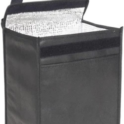 Rainham Lunch Cooler Bag