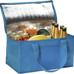 Rainham 12 Can Cooler Bag.